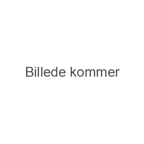 BTF CPH