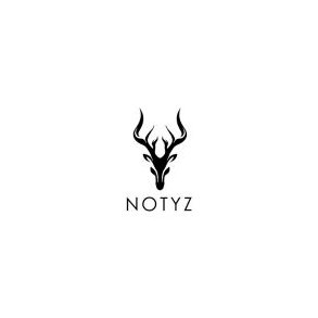 Notyz