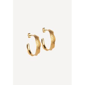 Ane large hoops �rering - Gold